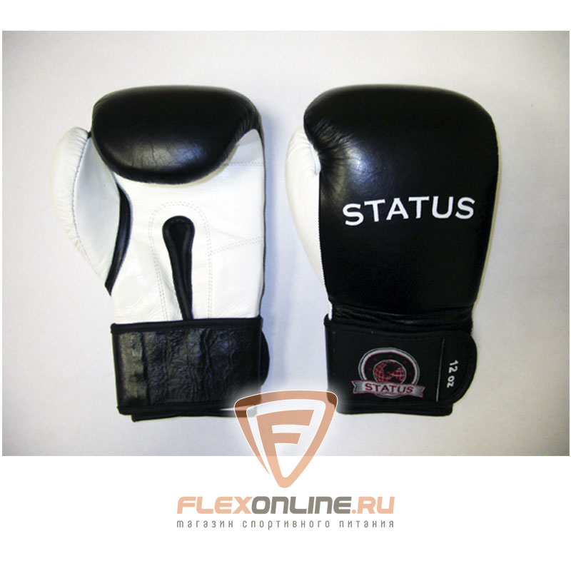 Боксерские перчатки Боксерские перчатки тренировочные на липучке 10 унций от Status