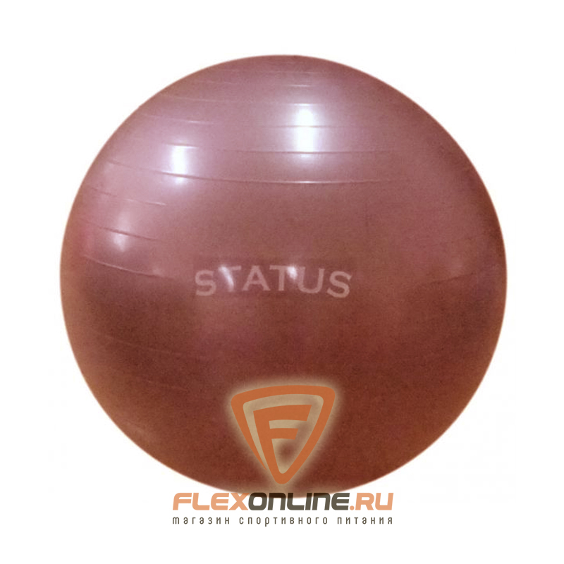Медицинболы и мячи Мяч гимнастический красный 65 см с насосом от Status