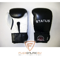 Боксерские перчатки Боксерские перчатки тренировочные на липучке 12 унций от Status