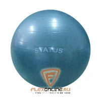 Медицинболы и мячи Мяч гимнастический голубой 75 см с насосом от Status